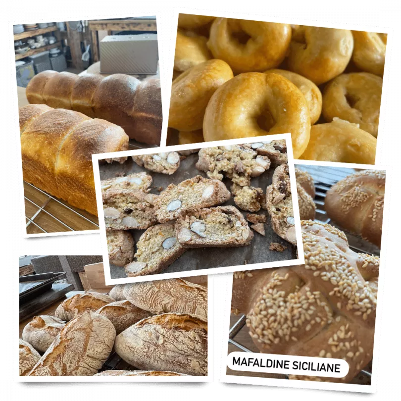Frische Spezialitäten aus dem Backofen: Brot, Gebäck, Süßes und Salziges Frische Spezialitäten aus dem Backofen: Brot, Gebäck, Süßes und Salziges